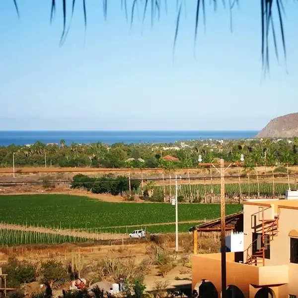 Pacific Ocean and farmland viewed from the Las Olas residence