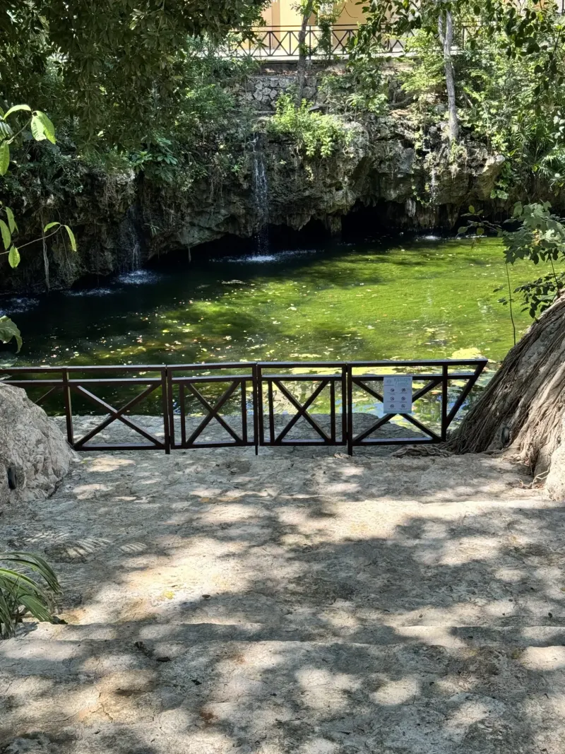 Garden setting at Zamá.