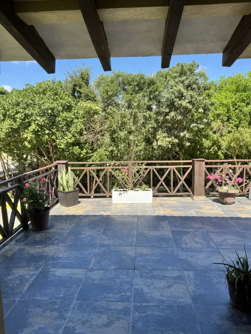 Outdoor terrace at Zamá.