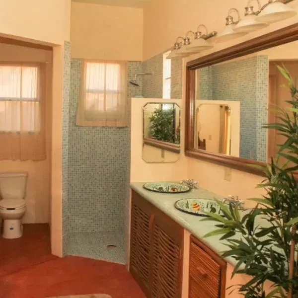 Bathroom with vanity, mirror and shower