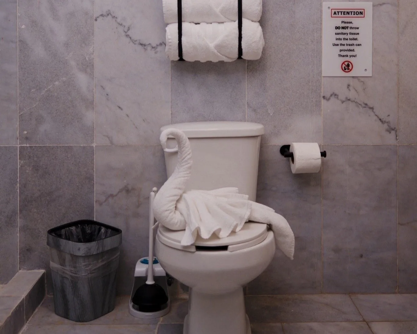 Guest bathroom at Ibogaine Clinic.