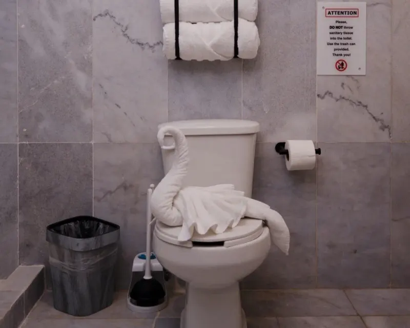 Guest bathroom at Ibogaine Clinic.