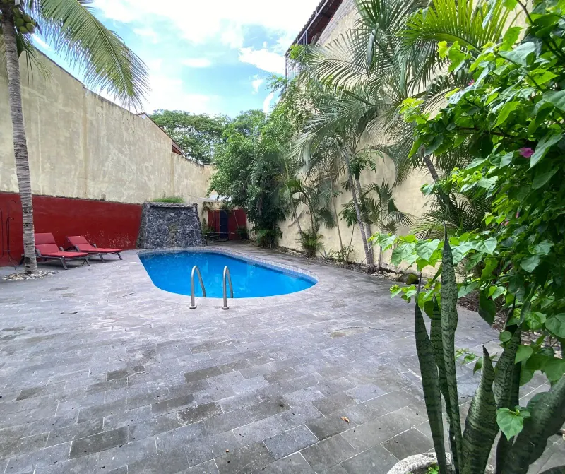 Outdoor pool with a stone water feature, loungers and tropical plants