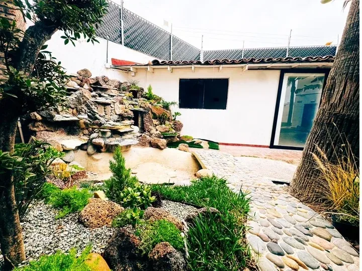 Stone waterfall garden at Mind-U