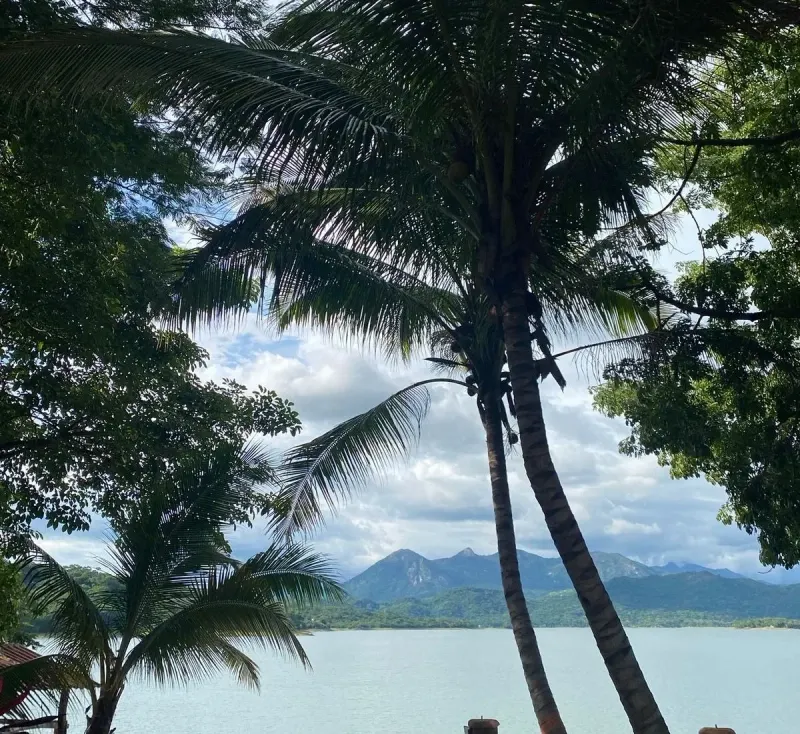 Palm trees overlooking a lake and mountains, shown on the Breakthrough website.