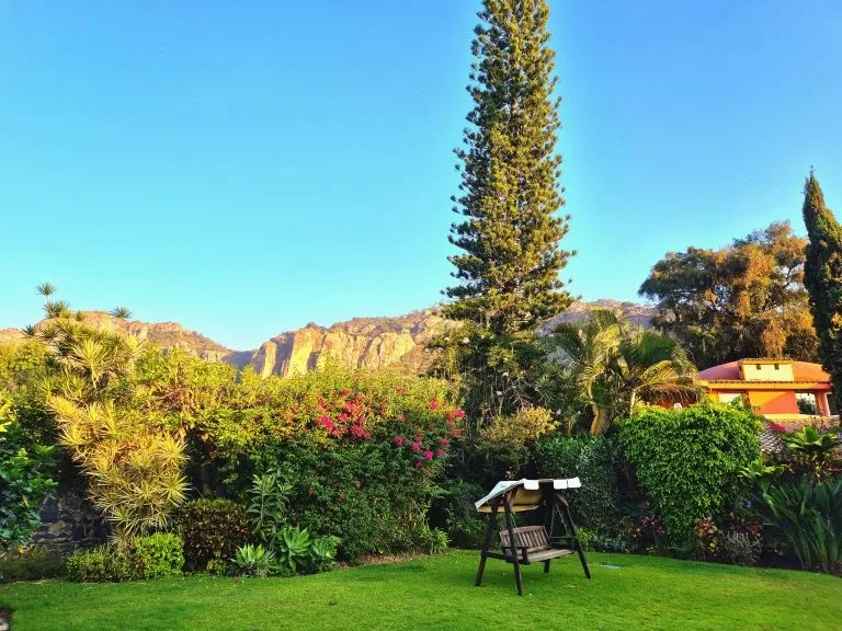 Garden lawn and seating at IbogaQuest.