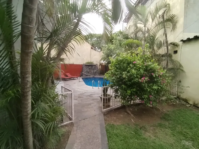 Garden path leading toward the pool through tropical plants