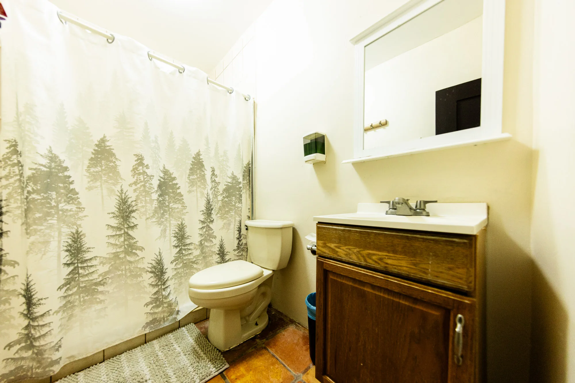 Baja Rehab bathroom with a shower curtain, toilet and vanity