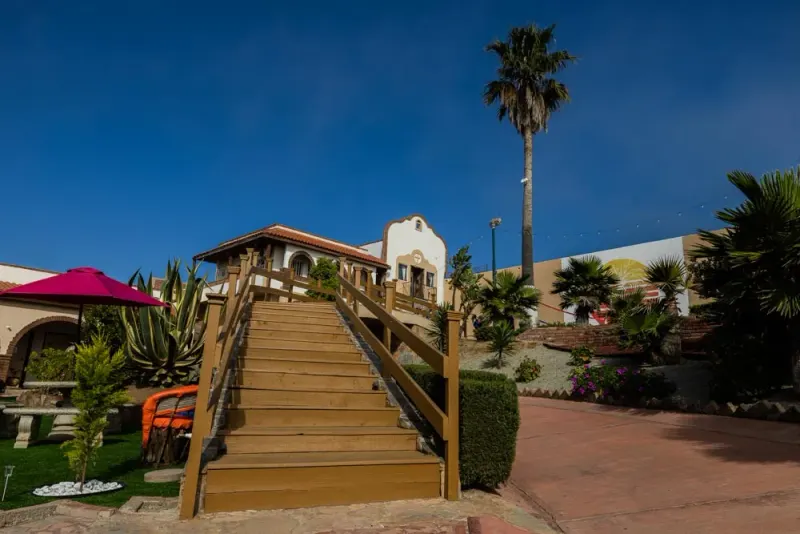 Wooden bridge through the Baja Rehab garden with palms and flowering shrubs